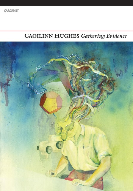 Gathering Evidence, Caoilinn Hughes