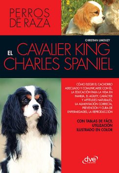 EL cavalier King Charles spaniel, Christian Limouzy