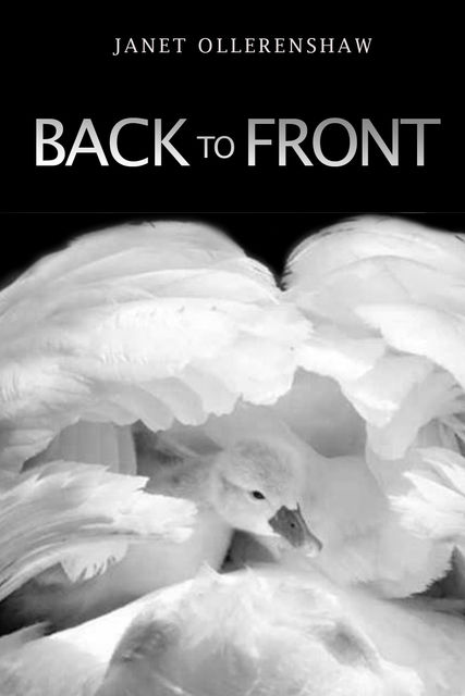 Back to Front, Janet Ollerenshaw