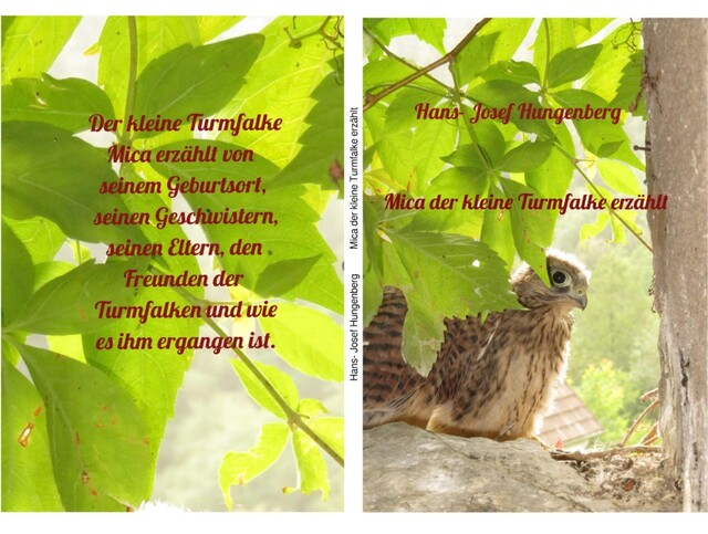 Mica der kleine Turmfalke erzählt, Hans- Josef Hungenberg