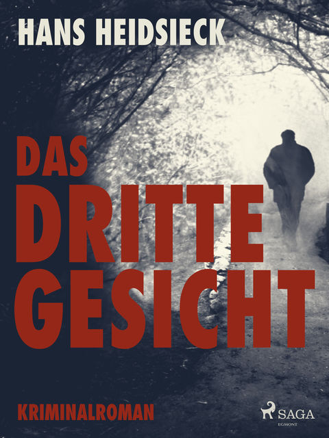 Das dritte Gesicht, Hans Heidsieck