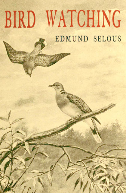 Bird Watching, Edmund Selous
