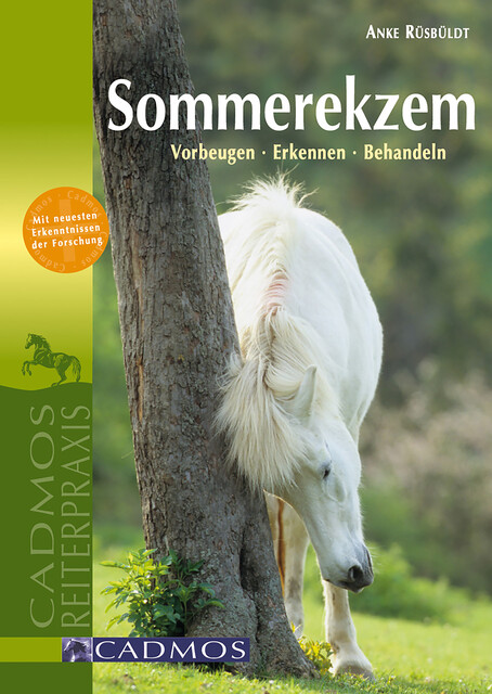 Sommerekzem, Anke Rüsbüldt