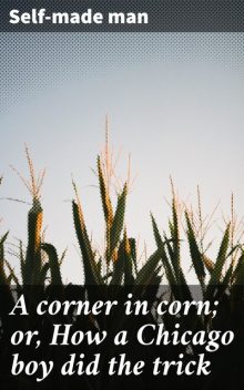 A corner in corn; or, How a Chicago boy did the trick, Self-made man
