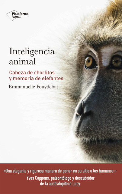 Inteligencia animal, Emmanuelle Pouydebat