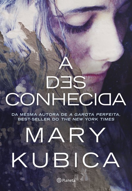 A Desconhecida, Mary Kubica