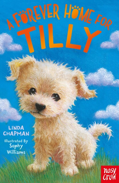 A Forever Home for Tilly, Linda Chapman