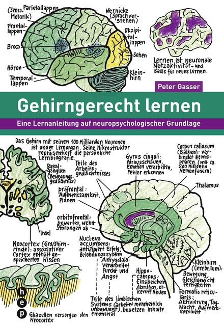 Gehirngerecht lernen (E-Book), Peter Gasser