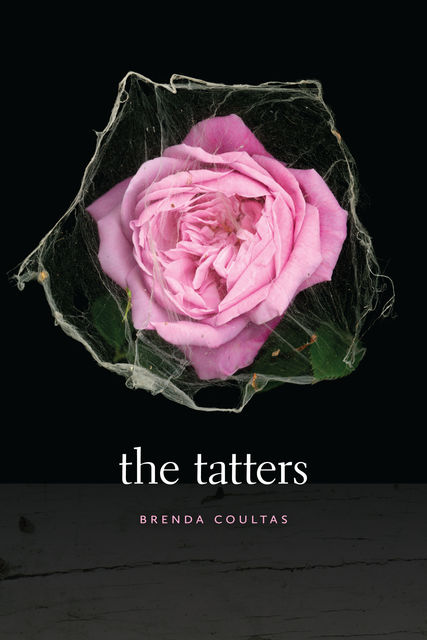 The Tatters, Brenda Coultas