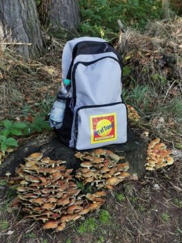 Ein Wandertag in der Sächsischen Schweiz, Birgit Kretzschmar