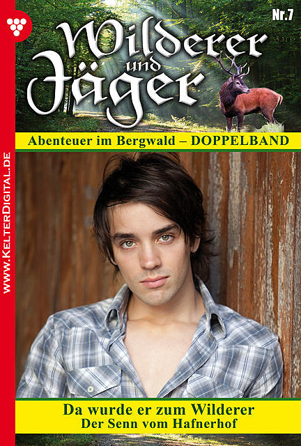 Wilderer und Jäger 7 – Heimatroman, Singer