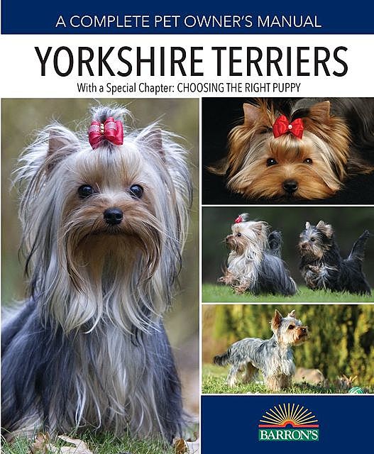 Yorkshire Terriers, Sharon Lynn Vanderlip