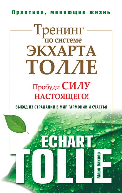 Тренинг по системе Экхарта Толле. Пробуди силу настоящего! Выход из страданий в мир гармонии и счастья, Марк Бакнер