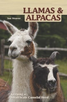 Llamas and Alpacas, Sue Weaver