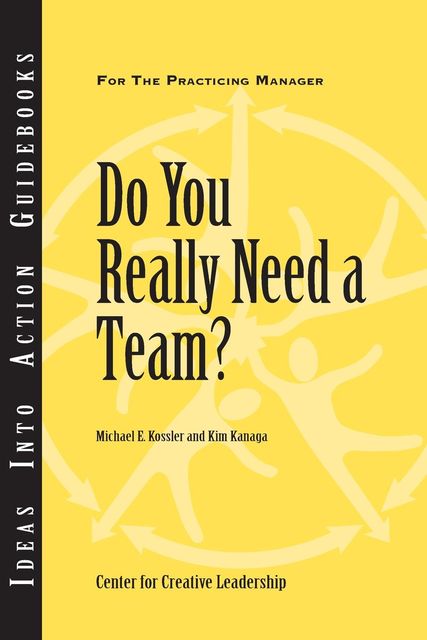Do You Really Need a Team?, Kim Kanaga, Michael E.Kossler