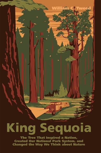 King Sequoia, William C. Tweed