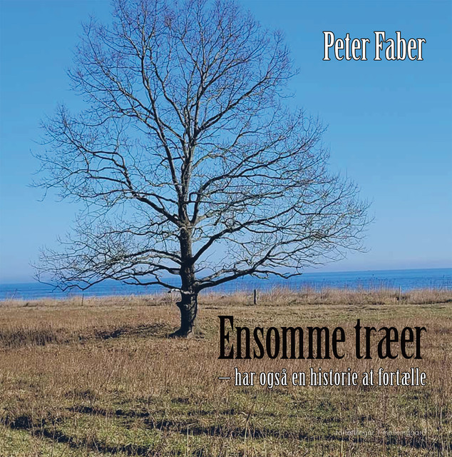 ENSOMME TRÆER, Peter Faber