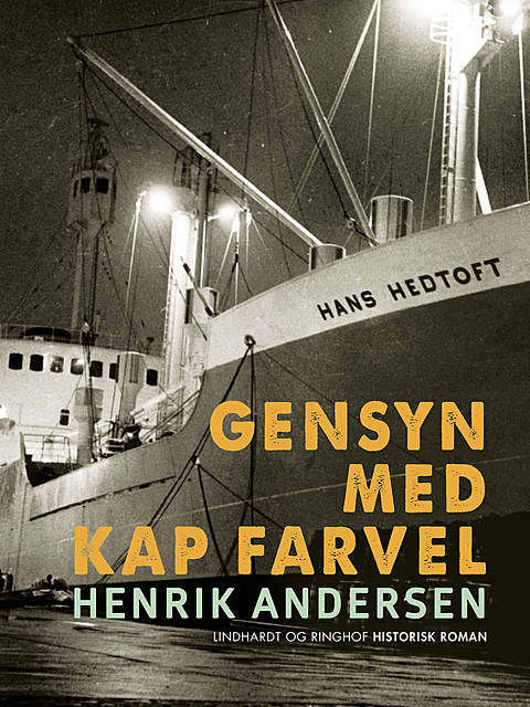Gensyn med Kap Farvel, Henrik Andersen