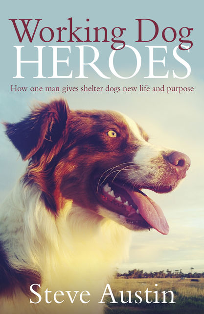 Working Dog Heroes: How One Man Gives Shelter Dogs New Life and Purpose, Steve Austin