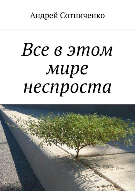 Все в этом мире неспроста, Андрей Сотниченко