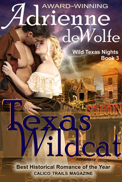 Texas Wildcat (Wild Texas Nights, Book 3), Adrienne deWolfe