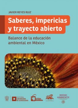 Saberes, impericias y trayecto abierto, Francisco Javier Reyes Ruiz