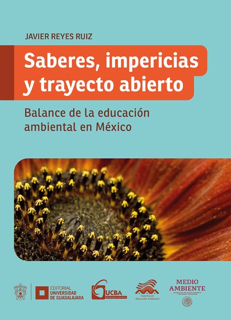 Saberes, impericias y trayecto abierto, Francisco Javier Reyes Ruiz