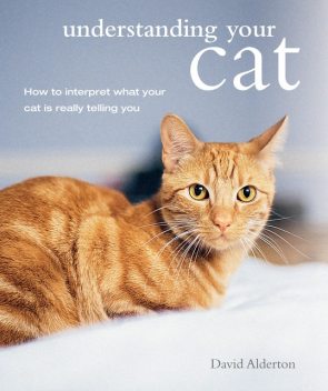 Understanding Your Cat, David Alderton