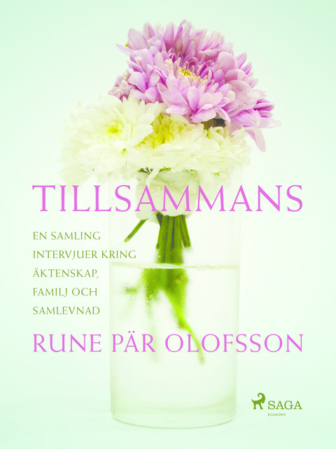 Tillsammans : en samling intervjuer kring äktenskap, familj och samlevnad, Rune Pär Olofsson