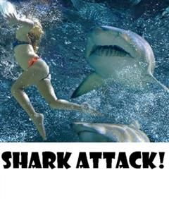 Shark Attack, Marine Life eBooks