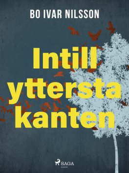 Intill yttersta kanten, Bo Ivar Nilsson