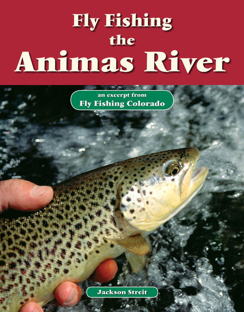 Fly Fishing the Animas River, Jackson Streit