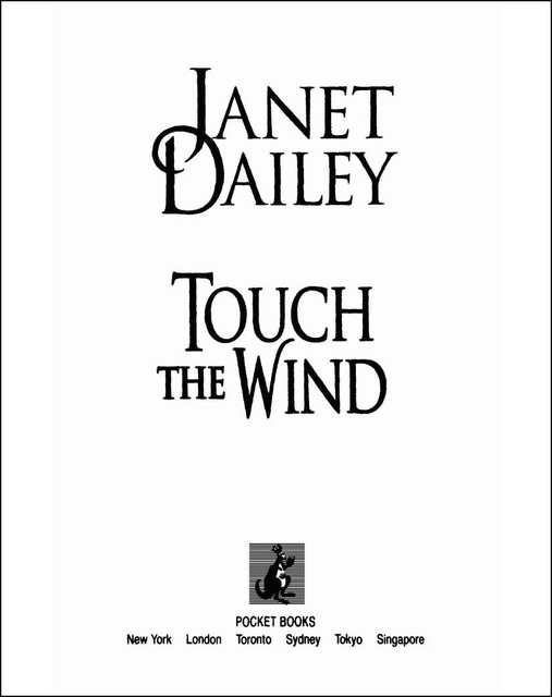 Touch the Wind, Janet Dailey