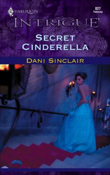 Secret Cinderella, Dani Sinclair