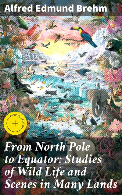 From North Pole to Equator: Studies of Wild Life and Scenes in Many Lands, Alfred Edmund Brehm
