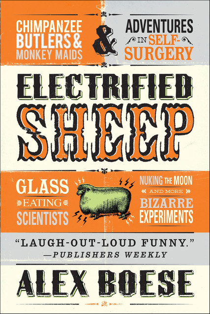 Electrified Sheep, Boese Alex