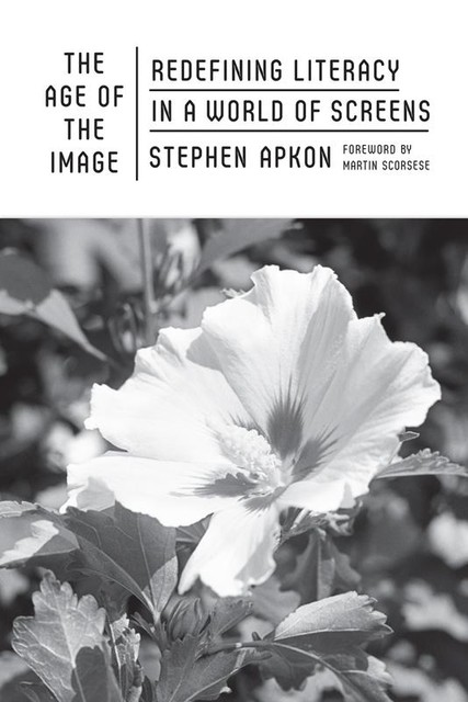 The Age of the Image, Stephen Apkon