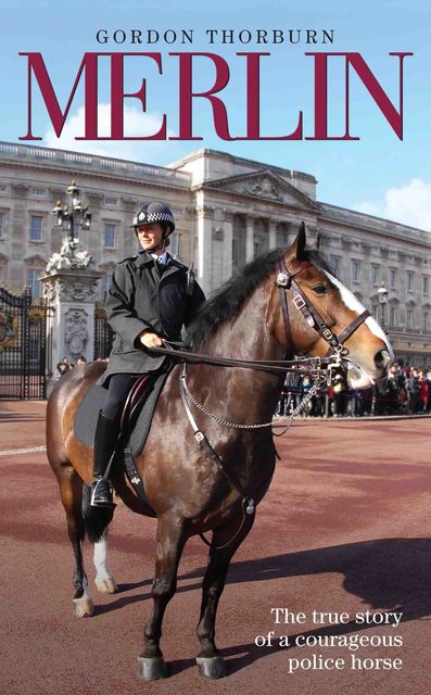 Merlin – The True Story of a Courageous Police Horse, Gordon Thorburn