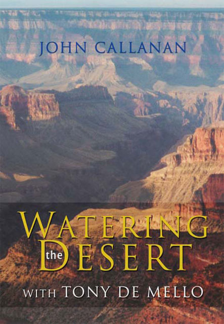 Watering The Desert: Meditations With Tony De Mello, John Callanan