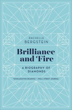 Brilliance and Fire, Rachelle Bergstein