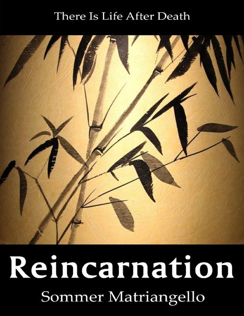 Reincarnation, Sommer Matriangello