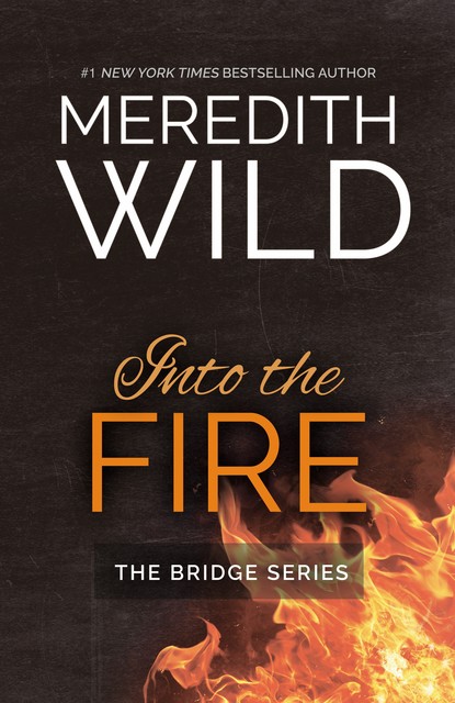 Into the Fire, Meredith Wild
