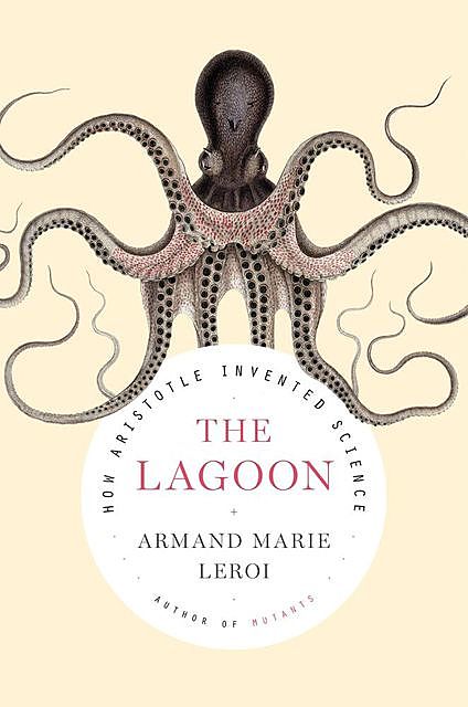 The Lagoon, Armand Marie Leroi