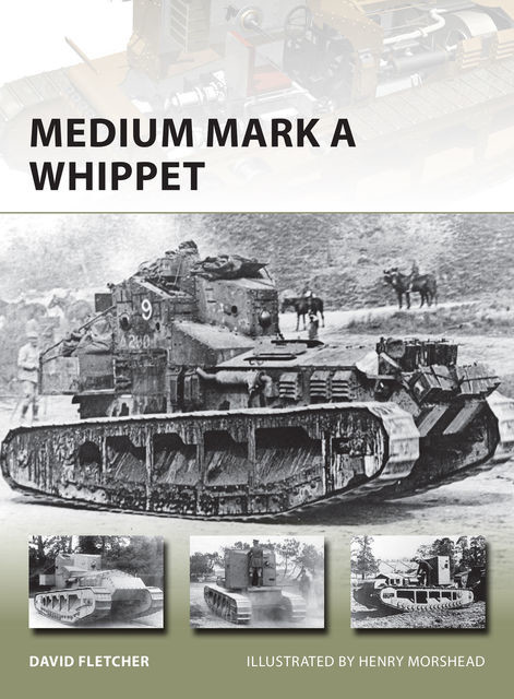 Medium Mark A Whippet, David Fletcher