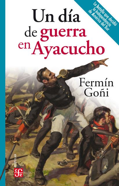 Un día de guerra en Ayacucho, Fermín Goñi