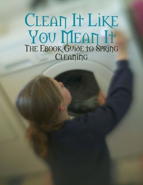 Clean It Like You Mean It – The Ebook Guide to Spring Cleaning, M Osterhoudt