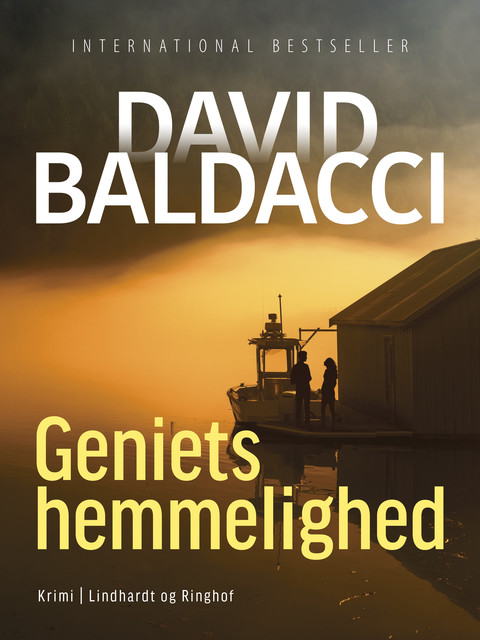 Geniets hemmelighed, David Baldacci