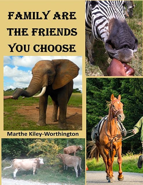 Family Are the Friends You Choose, Marthe Kiley-Worthington