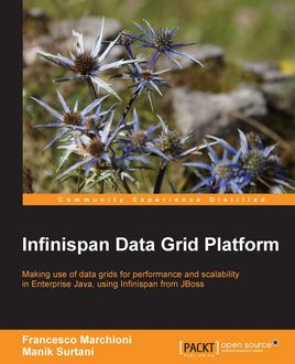 Infinispan Data Grid Platform, Francesco Marchioni, Manik Surtani