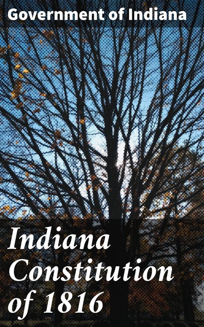 Indiana Constitution of 1816, Government of Indiana